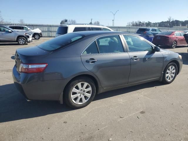 2009 Toyota Camry Hybrid