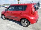 2012 KIA Soul +