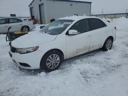 KIA salvage cars for sale: 2012 KIA Forte EX