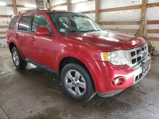 2010 Ford Escape Limited