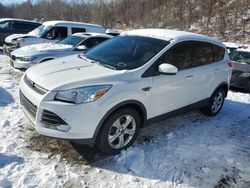 2015 Ford Escape SE en venta en Marlboro, NY