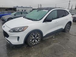 Salvage cars for sale at Sun Valley, CA auction: 2020 Ford Escape SE Sport