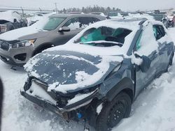 Salvage cars for sale at Elmsdale, NS auction: 2023 Hyundai Kona SE