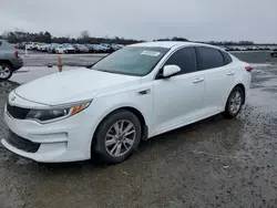 Salvage cars for sale at Lumberton, NC auction: 2017 KIA Optima LX