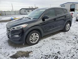 Salvage cars for sale from Copart Airway Heights, WA: 2016 Hyundai Tucson Limited