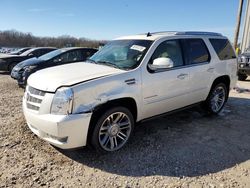 Salvage cars for sale at Memphis, TN auction: 2012 Cadillac Escalade Premium