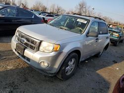 Carros con verificación Run & Drive a la venta en subasta: 2010 Ford Escape XLT