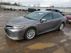 Toyota Camry le salvage cars for sale: 2020 Toyota Camry LE