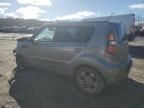 2010 KIA Soul +