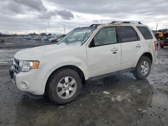 2011 Ford Escape Limited