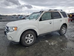 Carros salvage sin ofertas aún a la venta en subasta: 2011 Ford Escape Limited