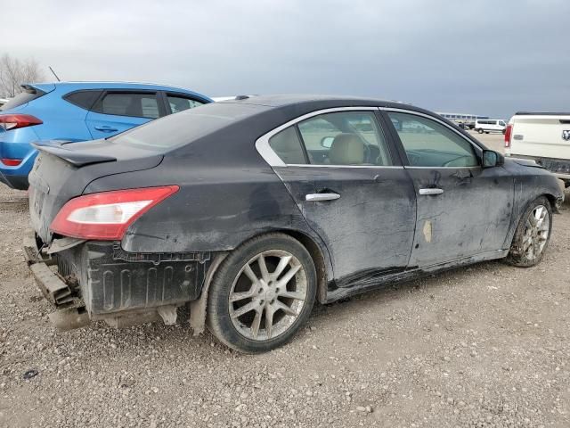 2010 Nissan Maxima S