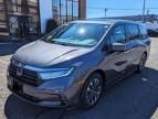 2021 Honda Odyssey EXL