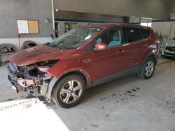 Salvage cars for sale at Sandston, VA auction: 2014 Ford Escape SE