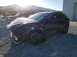 Salvage cars for sale at Reno, NV auction: 2024 Lexus NX 350 Premium