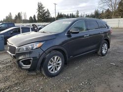 KIA Sorento lx Vehiculos salvage en venta: 2016 KIA Sorento LX