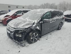 Honda Odyssey exl Vehiculos salvage en venta: 2020 Honda Odyssey EXL