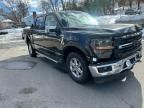 2024 Ford F150 XLT