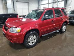 2007 Ford Escape XLT en venta en Ham Lake, MN