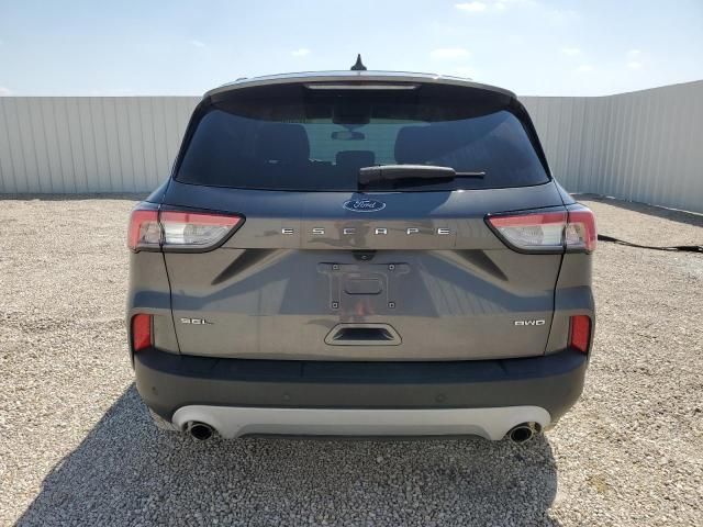 2021 Ford Escape SEL