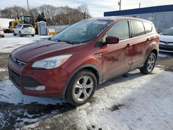 Salvage cars for sale at Ham Lake, MN auction: 2014 Ford Escape SE