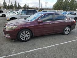 2013 Honda Accord EXL en venta en Rancho Cucamonga, CA