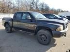 2002 Dodge Dakota Quattro