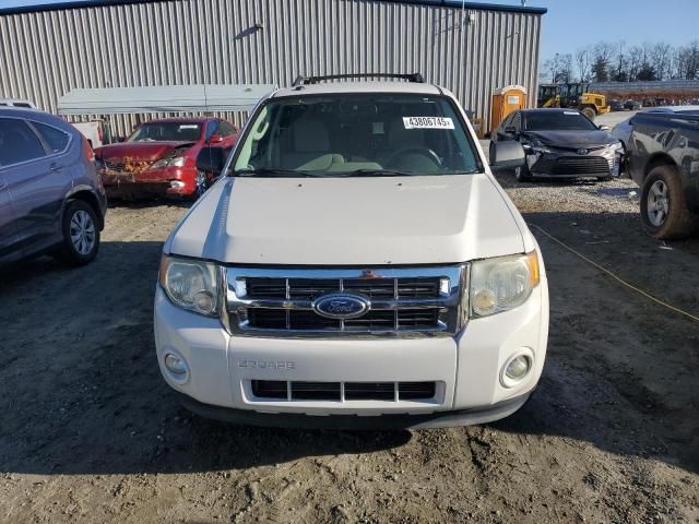 2011 Ford Escape XLT