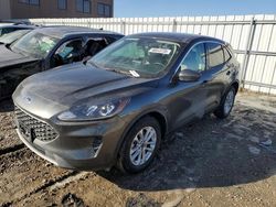 Salvage cars for sale at Kansas City, KS auction: 2020 Ford Escape SE