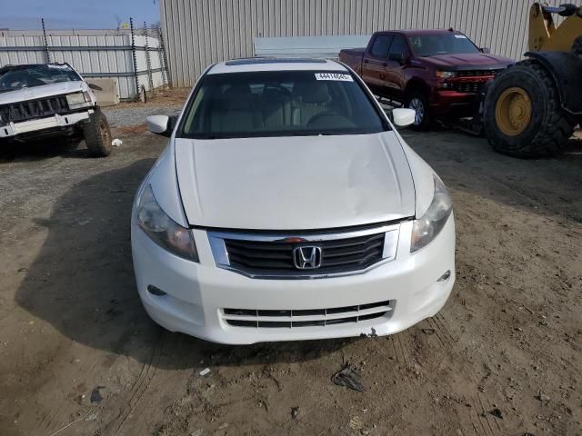 2010 Honda Accord EXL