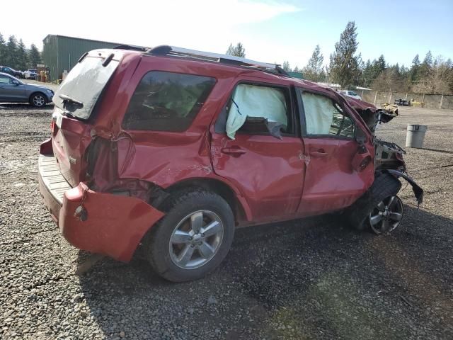 2011 Ford Escape Limited