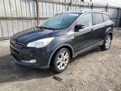 Salvage cars for sale at Los Angeles, CA auction: 2014 Ford Escape Titanium