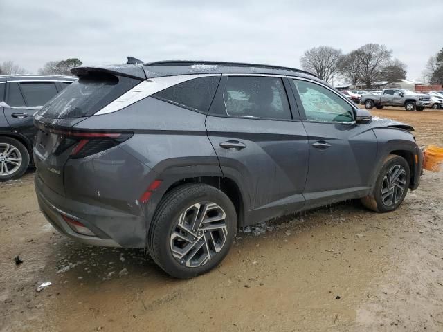 2025 Hyundai Tucson Limited