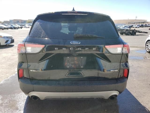 2021 Ford Escape SEL