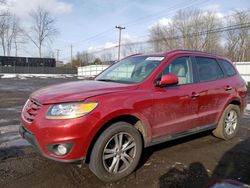 Salvage cars for sale at New Britain, CT auction: 2011 Hyundai Santa FE Limited