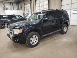 Salvage cars for sale at Blaine, MN auction: 2010 Ford Escape Limited