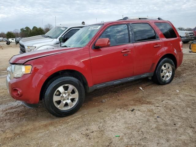 2011 Ford Escape Limited