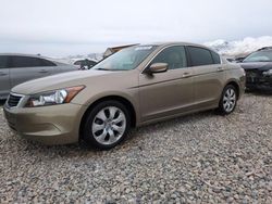 Salvage cars for sale at auction: 2008 Honda Accord EXL