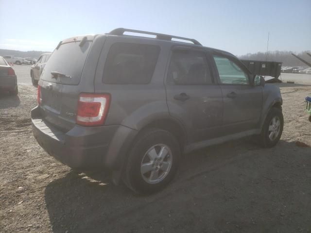 2009 Ford Escape XLT