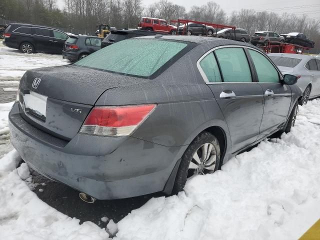 2010 Honda Accord EXL