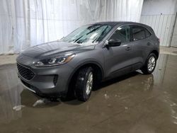 Salvage cars for sale at Albany, NY auction: 2022 Ford Escape SE