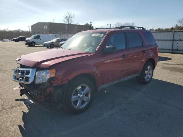 2010 Ford Escape XLT