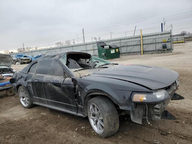 2001 Ford Mustang Cobra SVT