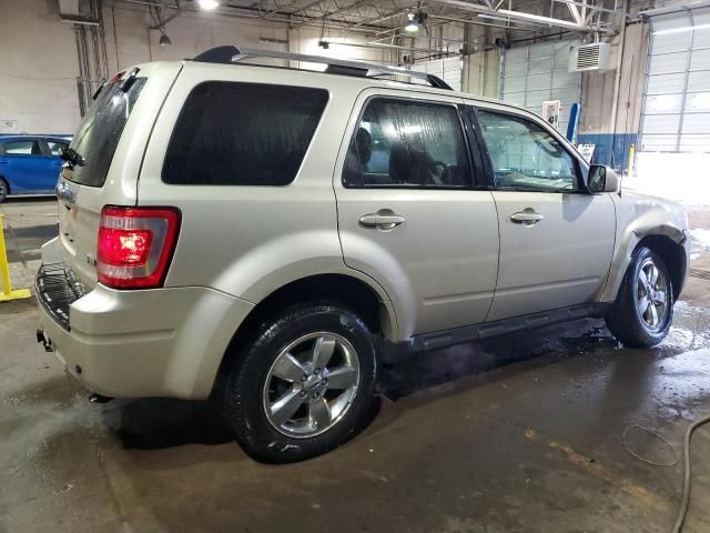 2011 Ford Escape Limited