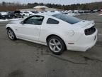 2014 Ford Mustang GT