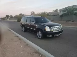 Clean Title Cars for sale at auction: 2010 Cadillac Escalade ESV Platinum