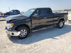 Salvage cars for sale at Arcadia, FL auction: 2013 Ford F150 Super Cab