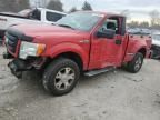 2009 Ford F150