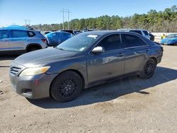 Salvage cars for sale at Greenwell Springs, LA auction: 2011 Toyota Camry Base