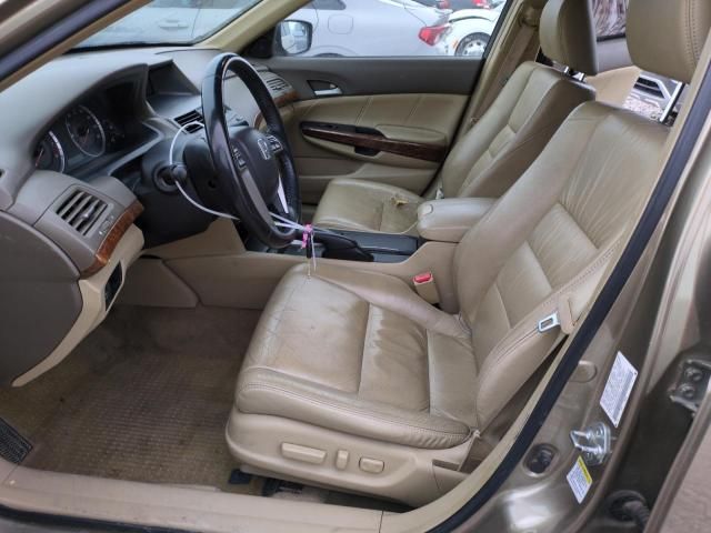 2008 Honda Accord EXL